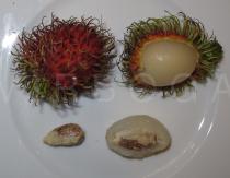 Nephelium lappaceum - Fruit, with partly removed exo- and endocarp, aril and seed - Click to enlarge!