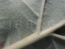 Calotropis gigantea - Lower surface of leaf, close-up - Click to enlarge!