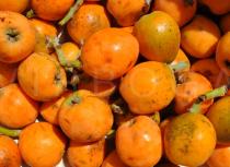 Eriobotrya japonica - Fruits on market - Click to enlarge!