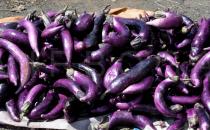 Solanum melongena - Fruits on market - Click to enlarge!